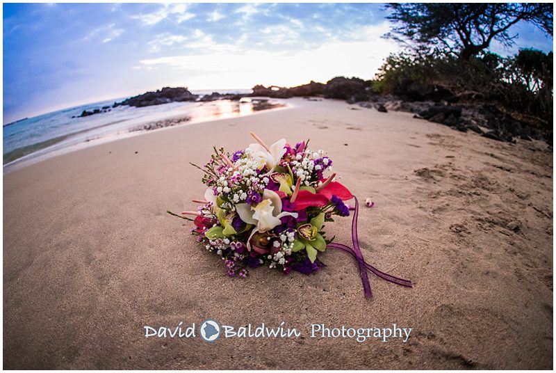 February 29, 2016 hapuna beach hotel wedding-0028.jpg