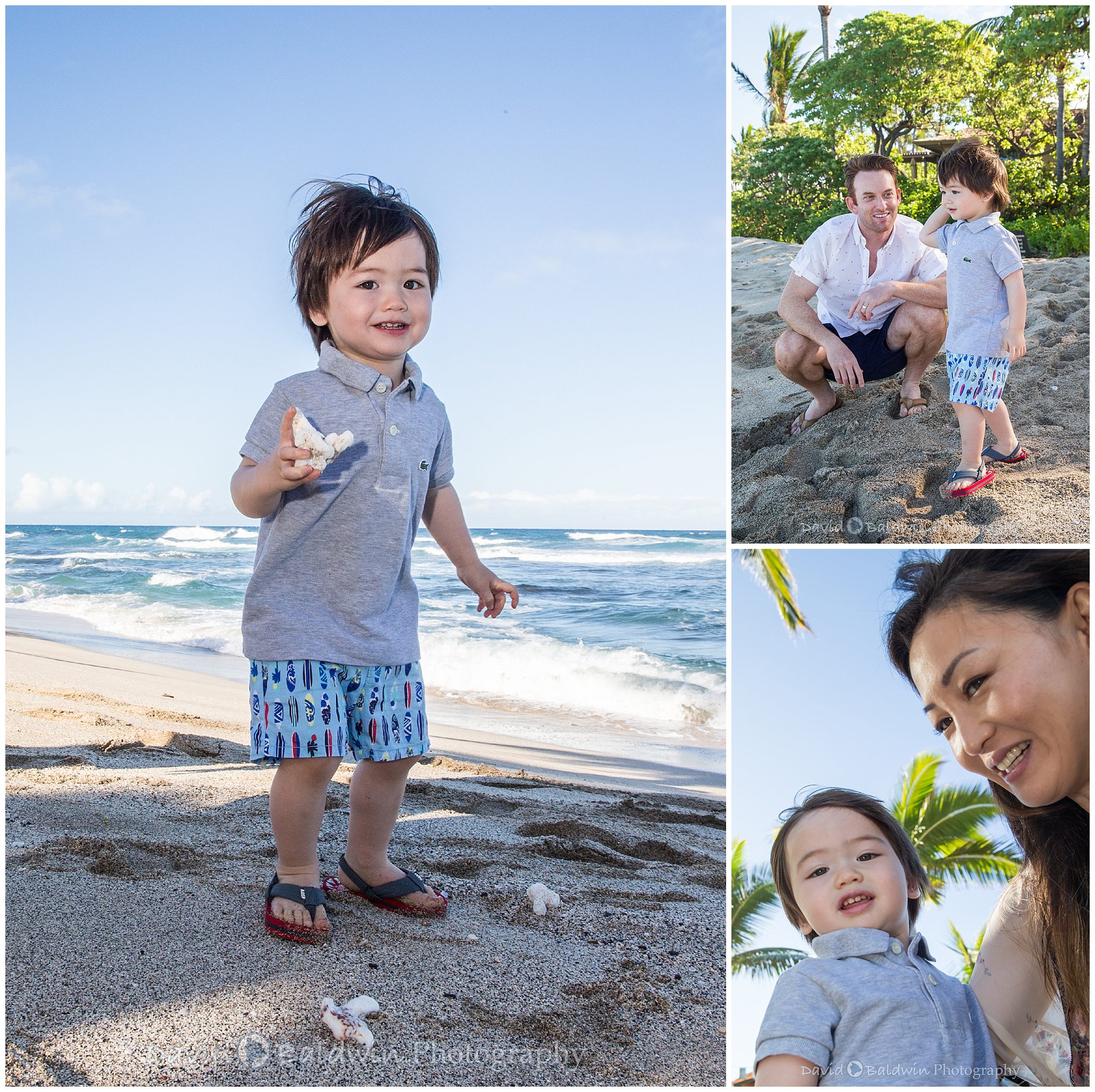 family portraits four seasons,
