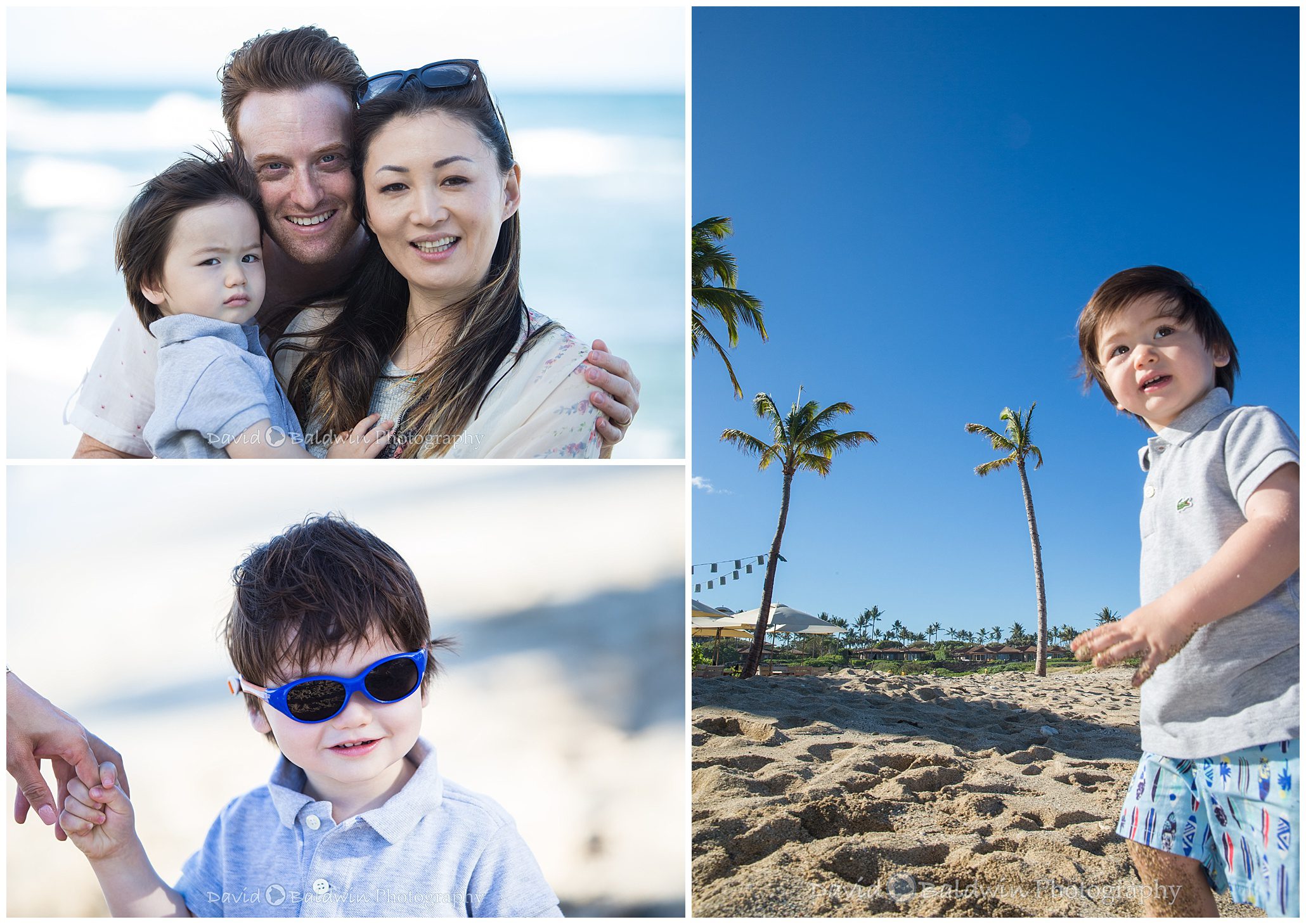 family portraits four seasons,