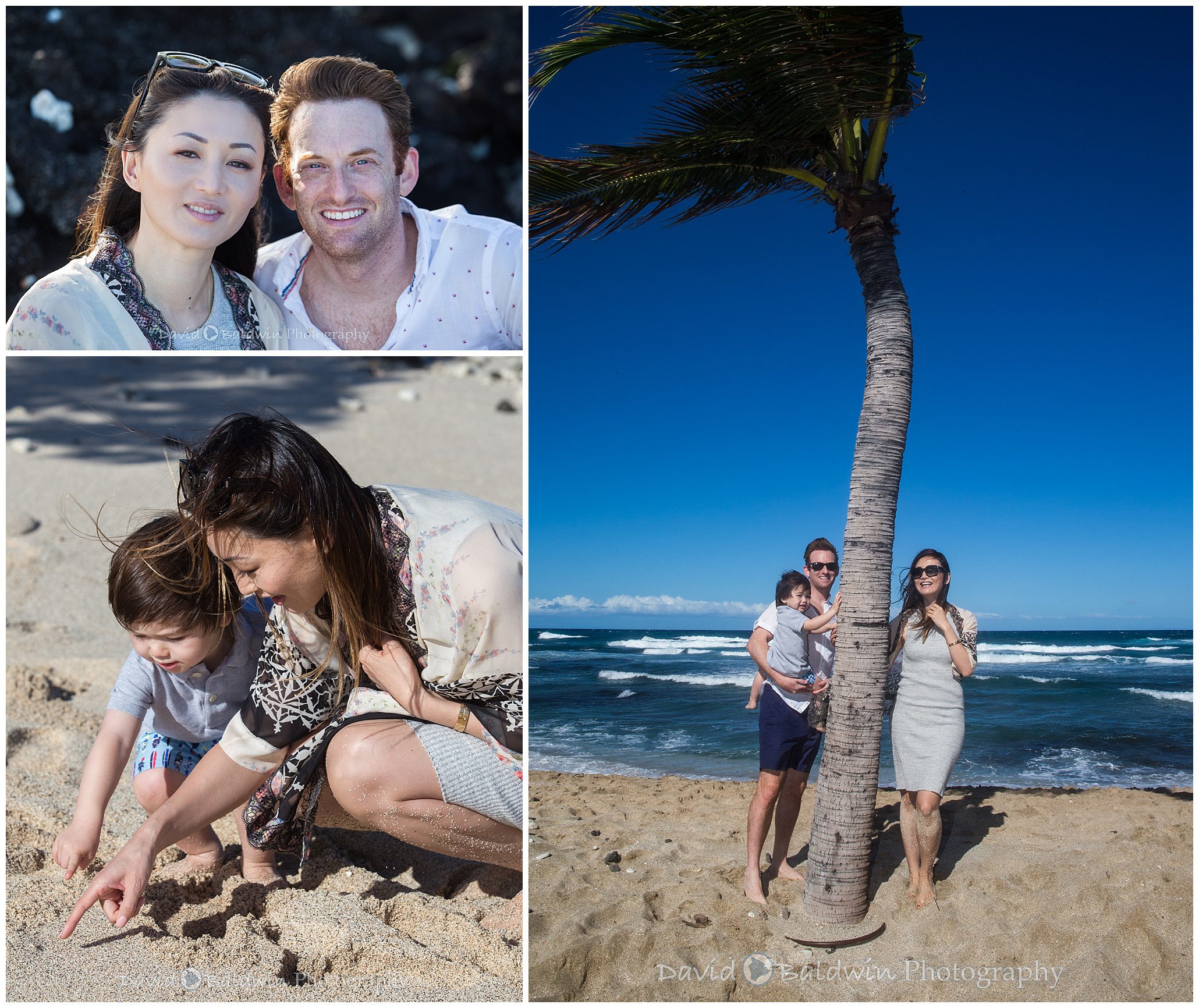 family portraits four seasons,