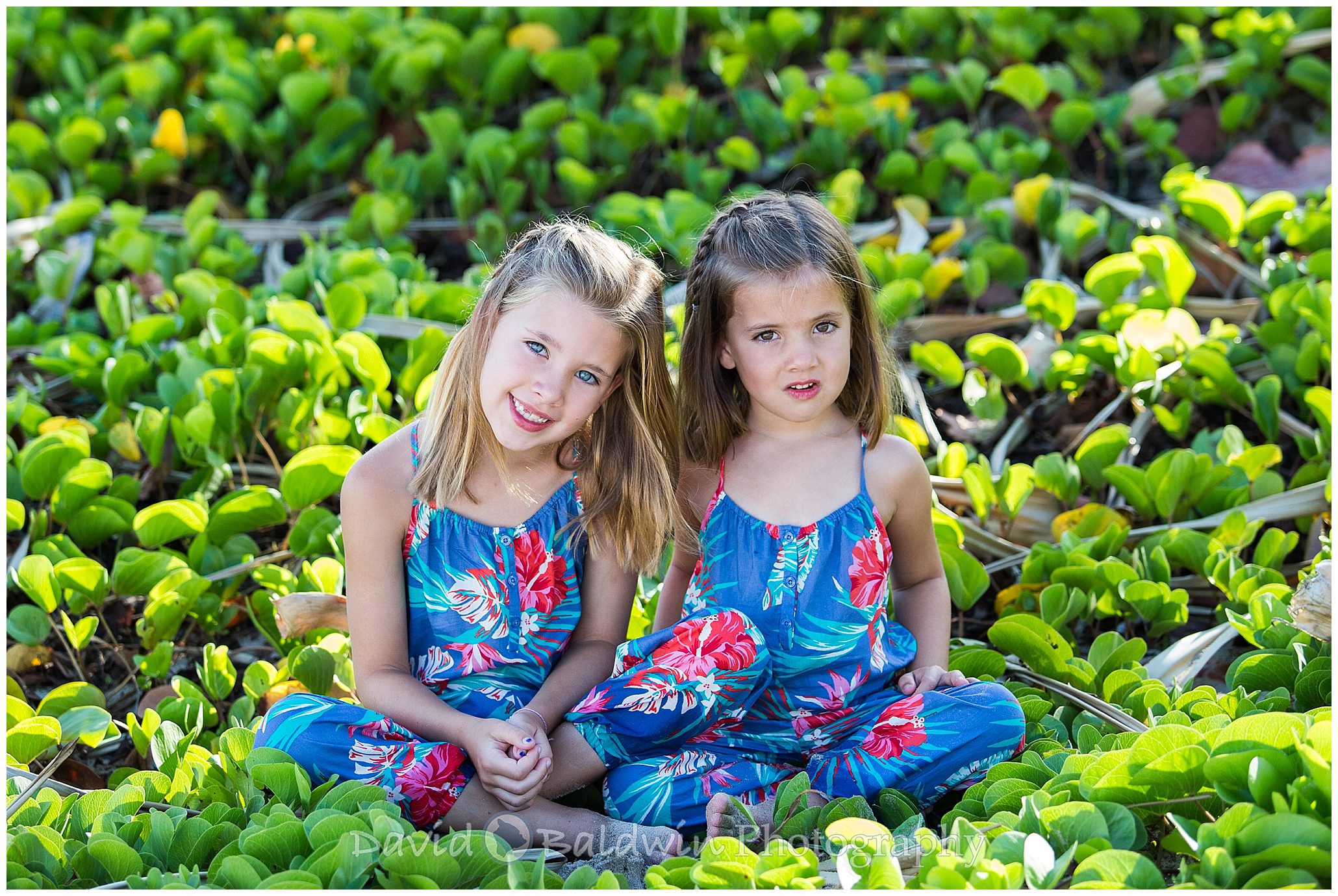 mauna kea family portraits on the beach in hawaii,