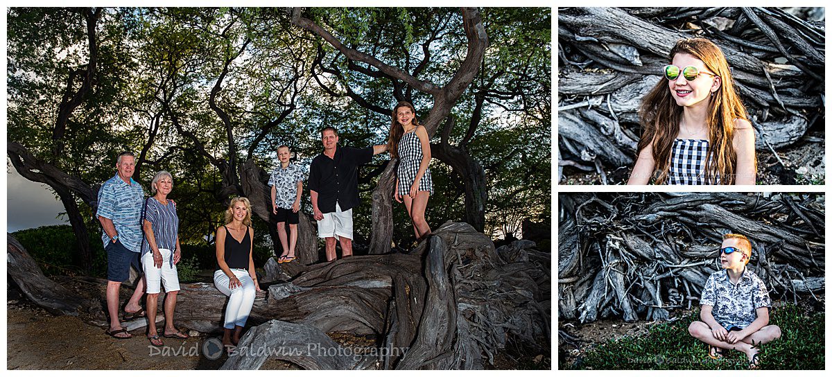 family posing on a tree for photos in Hawaii