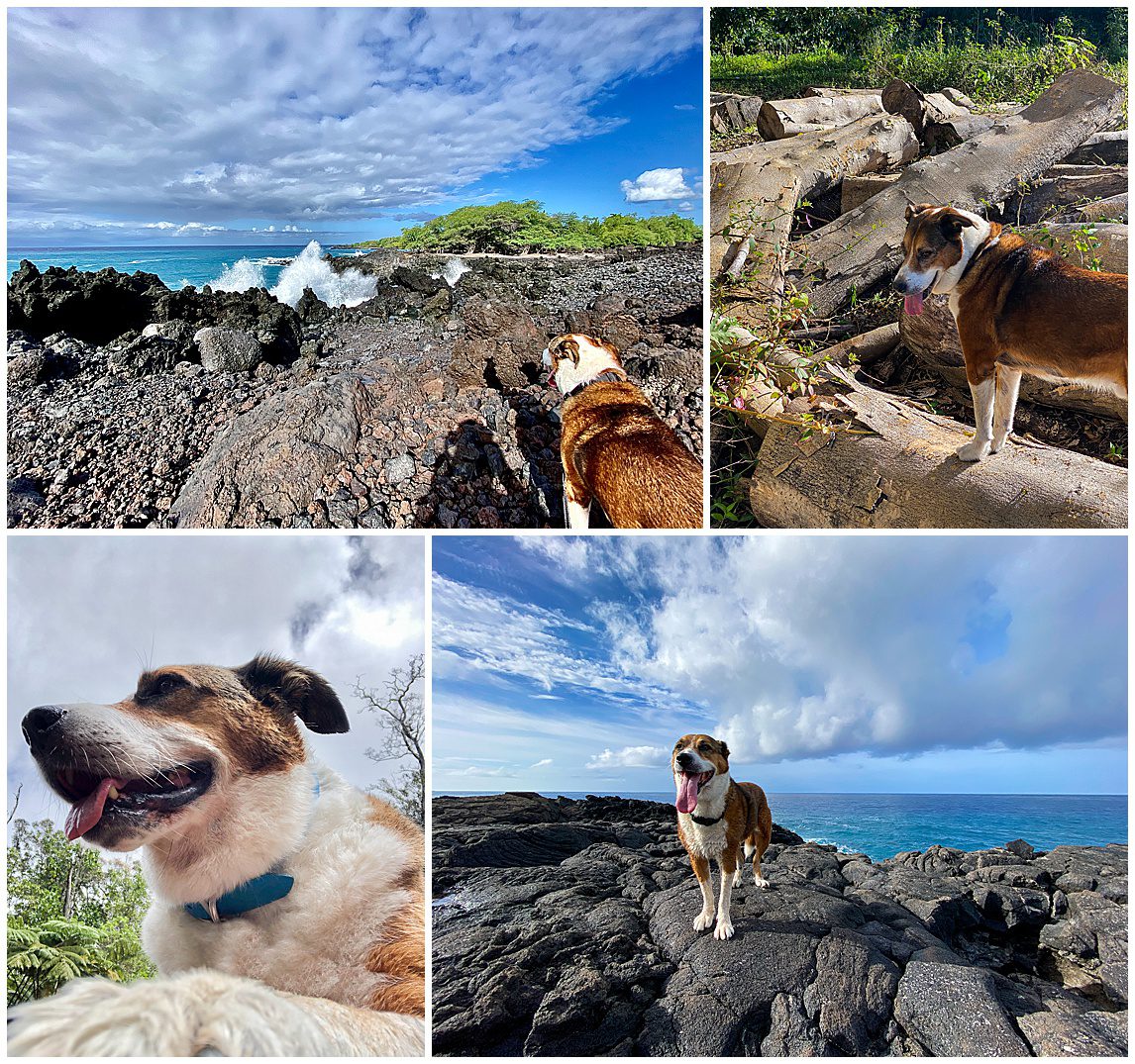 elvis presley baldwin on the rocks hawaii no wm-0013.jpg